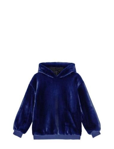 Maureen Tops Sweatshirts & Hoodies Hoodies Navy Molo