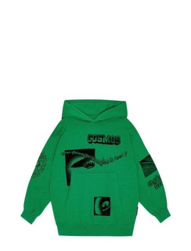 Maxx Tops Sweatshirts & Hoodies Hoodies Green Molo