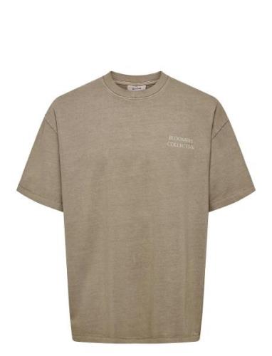 Onsaarav Life Ovz Ss Tee Tops T-Kortærmet Skjorte Beige ONLY & SONS