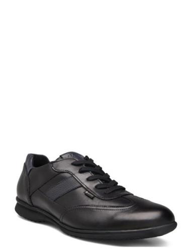 Vernon Low-top Sneakers Black Lloyd