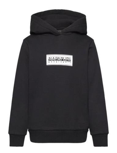 Chamois Hoodie Tops Sweatshirts & Hoodies Hoodies Black Napapijri