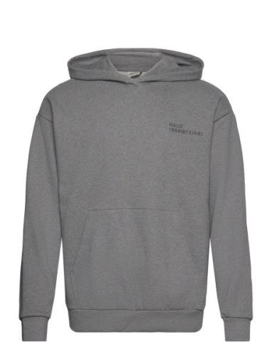 Halo Essential Hoodie Sport Sweatshirts & Hoodies Hoodies Grey HALO