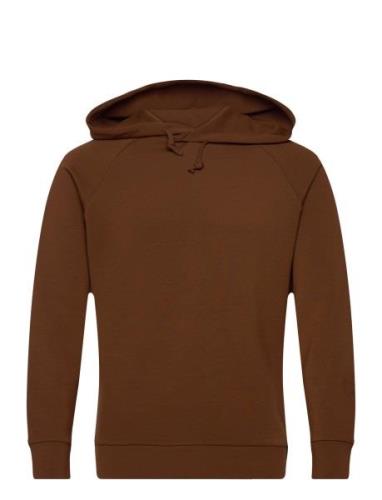 Abel Hood Sweat Tops Sweatshirts & Hoodies Hoodies Brown Mos Mosh Gall...