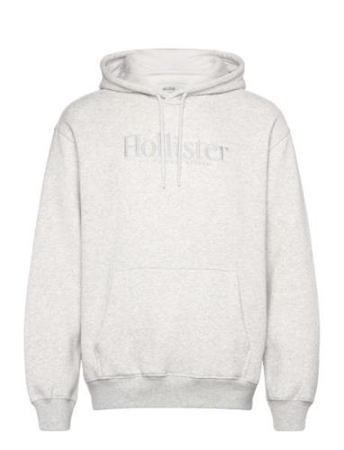 Hco. Guys Sweatshirts Tops Sweatshirts & Hoodies Hoodies Grey Holliste...