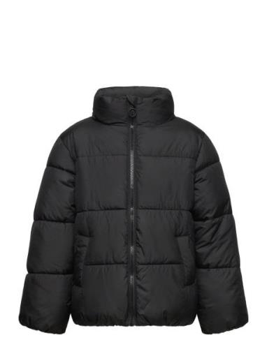 Puffer Jacket Foret Jakke Black Tom Tailor