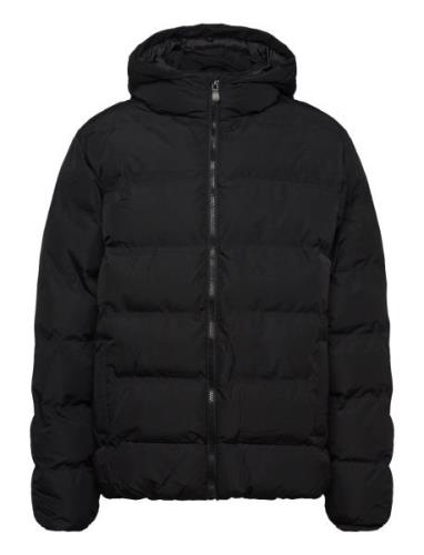 Hood Quilted Coat Outerwear Jackets & Coats Quilted Jackets Black Mang...