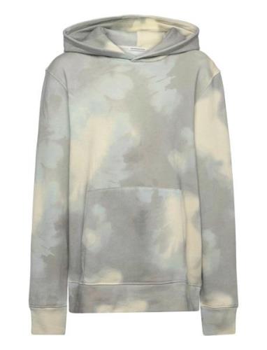 Regular Aop Sweatshirt Tops Sweatshirts & Hoodies Hoodies Grey Tom Tai...