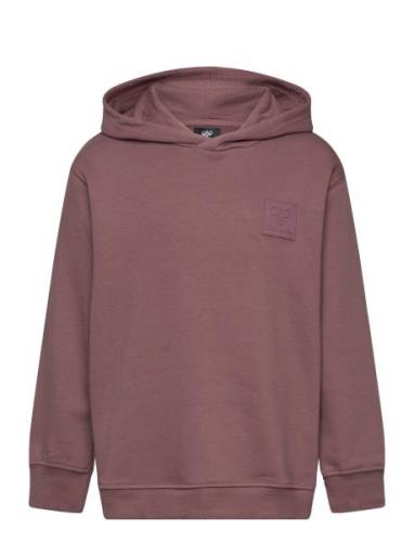 Hmlclean Hoodie Sport Sweatshirts & Hoodies Hoodies Pink Hummel