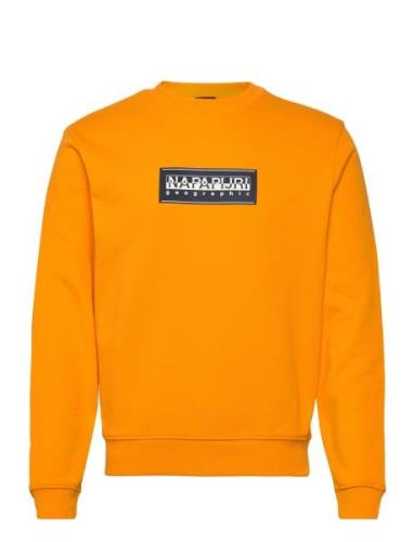 Box Logo Sweatshirt Tops Sweatshirts & Hoodies Sweatshirts Orange Napa...