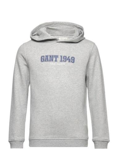 Gant 1949 Hoodie Tops Sweatshirts & Hoodies Hoodies Grey GANT