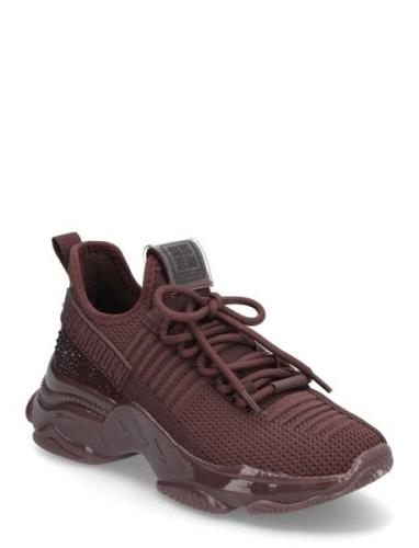 Maxilla-R-E Sneaker Low-top Sneakers Burgundy Steve Madden