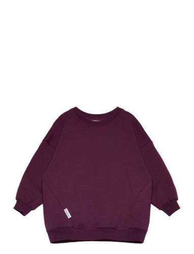 Relaxed Sweatshirt Tops Sweatshirts & Hoodies Sweatshirts Purple Guggu...