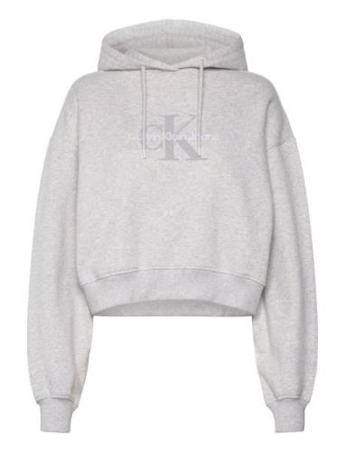 Chenille Monologo Hoodie Tops Sweatshirts & Hoodies Hoodies Grey Calvi...