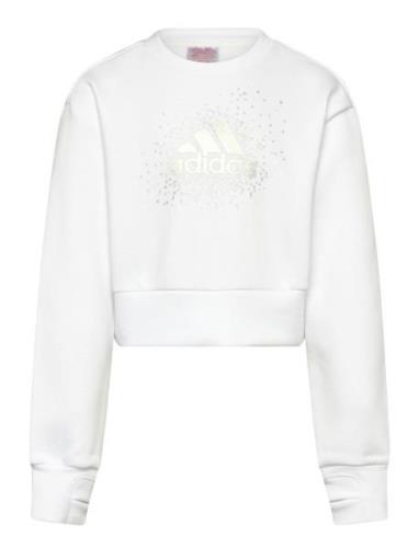 Jg Glm Crew Tops Sweatshirts & Hoodies Sweatshirts White Adidas Sports...