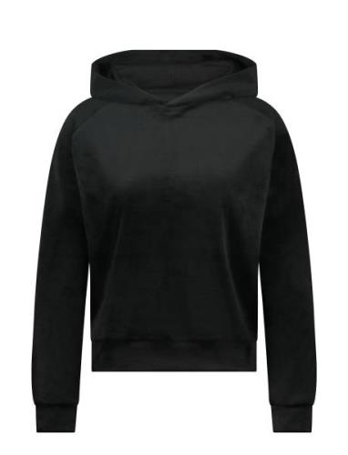 Hoody Ls Velours Tops Sweatshirts & Hoodies Hoodies Black Hunkemöller