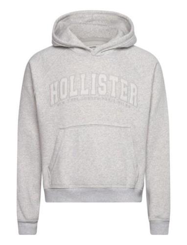 Hco. Guys Sweatshirts Tops Sweatshirts & Hoodies Hoodies Grey Holliste...