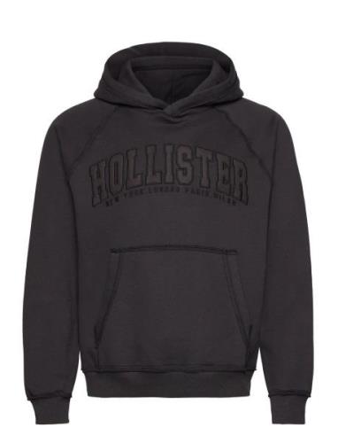 Hco. Guys Sweatshirts Tops Sweatshirts & Hoodies Hoodies Brown Hollist...