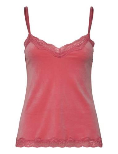 Cami Velours Scallop Lace Top Red Hunkemöller