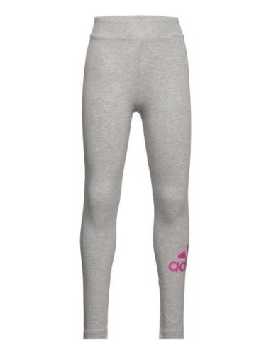 G Bl Tig Sport Leggings Grey Adidas Sportswear