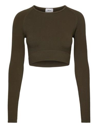 Ribbed Seamless Crop Long Sleeve Sport Crop Tops Long-sleeved Crop Top...