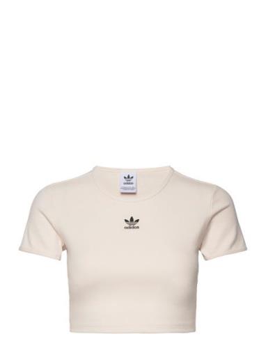 Rib Tee Sport Crop Tops Short-sleeved Crop Tops Cream Adidas Originals