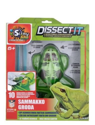 Dissect It Frog Toys Experiments And Science Multi/patterned Martinex