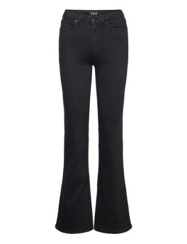 Ivy-Tara Jeans Wash Cool Excellent Bottoms Jeans Boot Cut Black IVY Co...