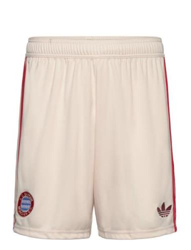 Fc Bayern 2024/2025 3Rd Short Sport Sport Clothing Sport Shorts Sport ...