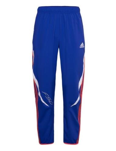 Wov Pnt Sport Men Sport Clothing Sport Pants Sport Training Pants Blue...