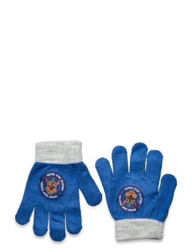 Glovers Accessories Gloves Finger Gloves Blue Paw Patrol