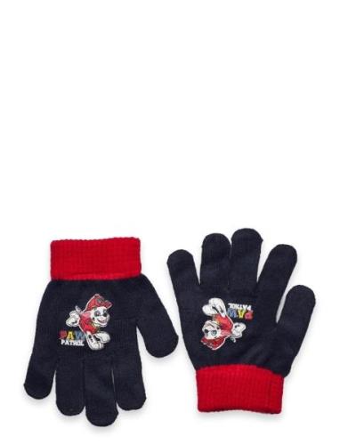 Glovers Accessories Gloves Finger Gloves Navy Paw Patrol