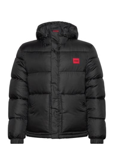 Baro2441 Designers Jackets Padded Jackets Black HUGO