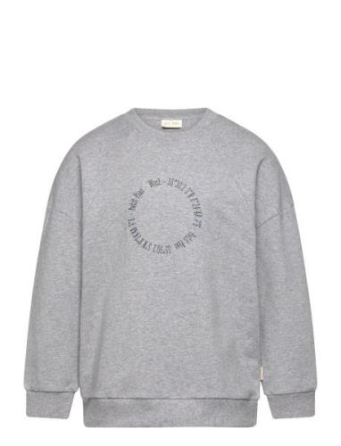 Sweat Shirt Haw Tops Sweatshirts & Hoodies Sweatshirts Grey Petit Piao