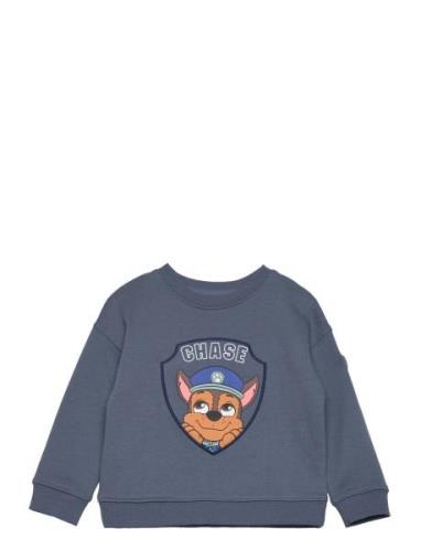 Paw Patrol Sweatshirt Tops Sweatshirts & Hoodies Sweatshirts Navy Mang...