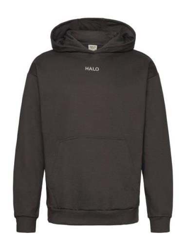 Halo Graphic Hoodie Tops Sweatshirts & Hoodies Hoodies Black HALO