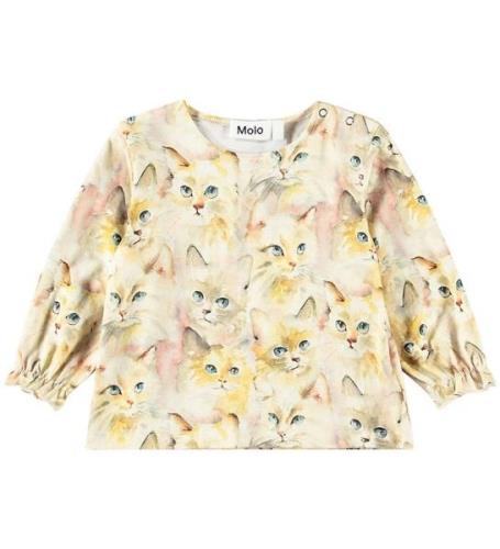 Molo Bluse - Elina - Aquarelle Cats