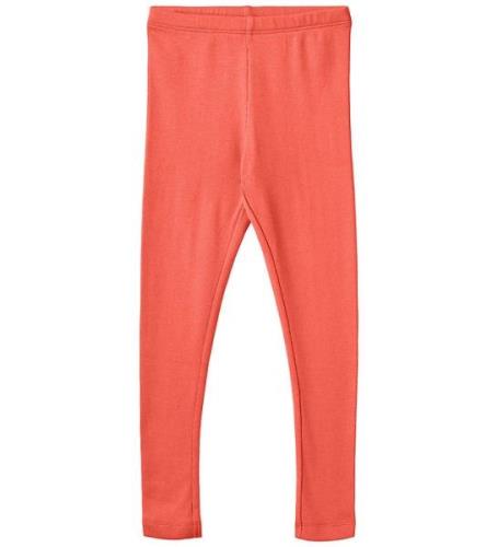 Wheat Leggings - Rib - Maddy - Candy Red