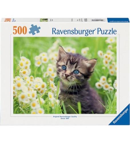 Ravensburger Puslespil - 500 Brikker - Kitten In The Meadow