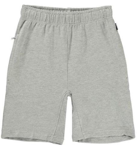 Molo Shorts - Axon - Grey Melange