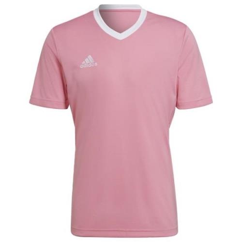 adidas Trænings T-Shirt Entrada 22 - Pink