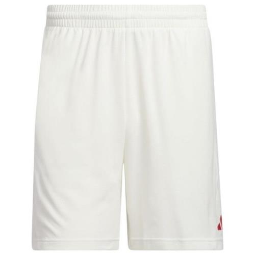 Adidas Basketball Badge of Sport shorts