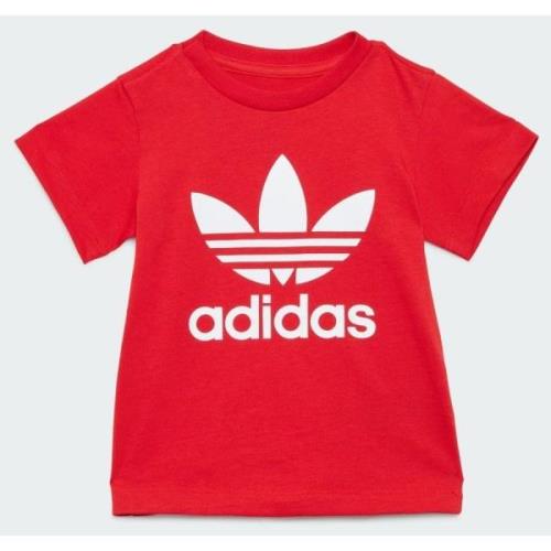 Adidas Original Trefoil Kids T-shirt